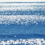 夏の海には絶対サザンオールスターズ！間違いない